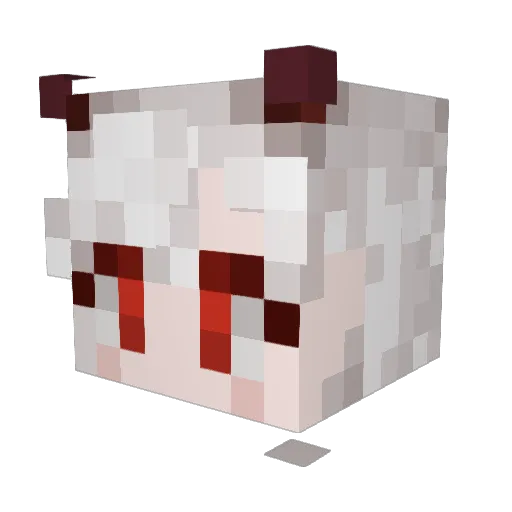 raidenaita Minecraft avatar head, 3D render