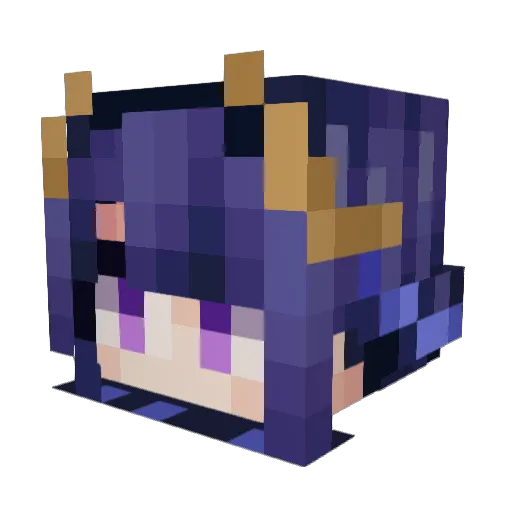 raidenenjoyer420 Minecraft avatar head, 3D render
