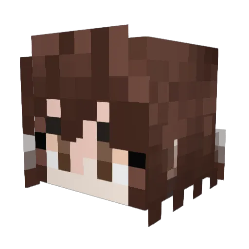 raidengi Minecraft avatar head, 3D render
