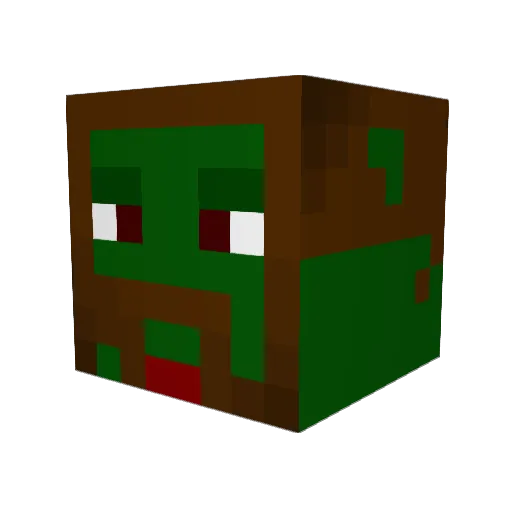 raiderguy3000 Minecraft avatar head, 3D render