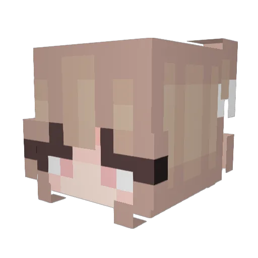 raidermc Minecraft avatar head, 3D render