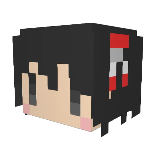 raido44 Minecraft avatar head, 3D render