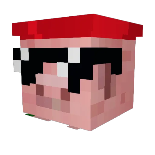raidpunk Minecraft avatar head, 3D render