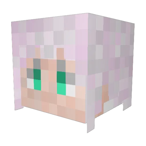 raiga9 Minecraft avatar head, 3D render