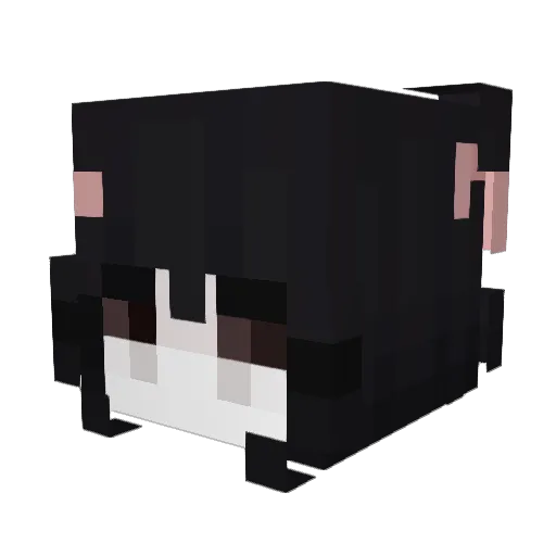 raiilwxy Minecraft avatar head, 3D render