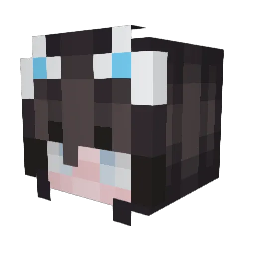 raiinefall Minecraft avatar head, 3D render