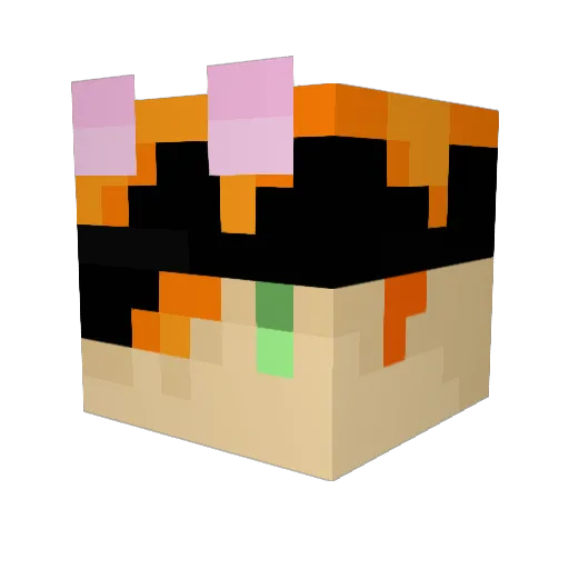 raiju25 Minecraft avatar head, 3D render
