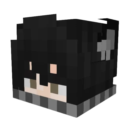 raika29 Minecraft avatar head, 3D render