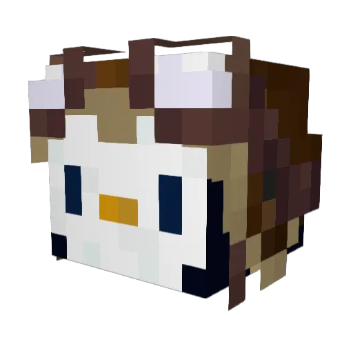 railfanpenguin Minecraft avatar head, 3D render