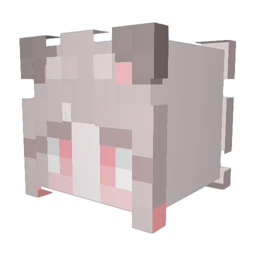 raime113 Minecraft avatar head, 3D render