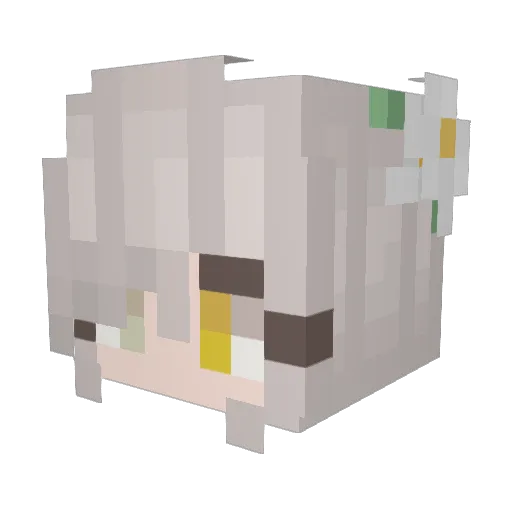 rain1934 Minecraft avatar head, 3D render
