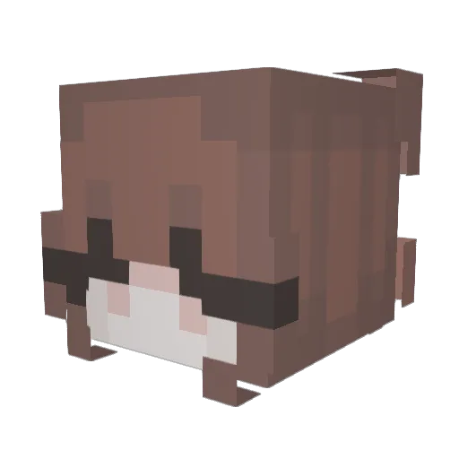 rain1_ Minecraft avatar head, 3D render