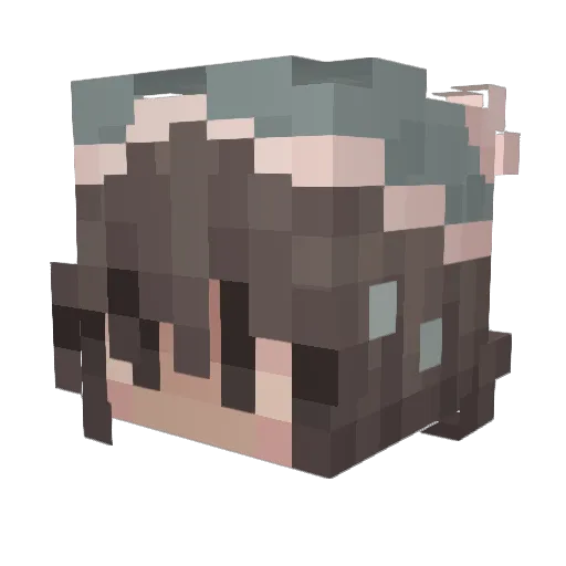 rain4123 Minecraft avatar head, 3D render