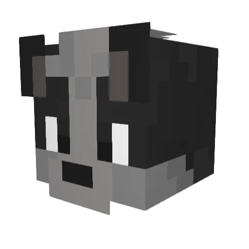 rain_fa1l Minecraft avatar head, 3D render