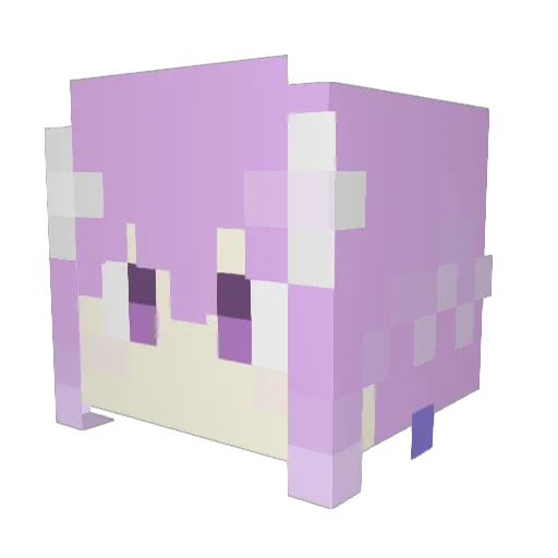 raina_2000 Minecraft avatar head, 3D render