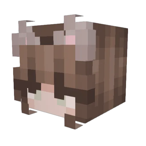 raina_jean Minecraft avatar head, 3D render