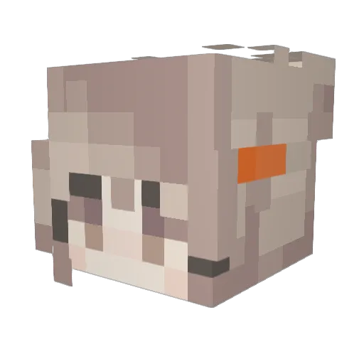 rainarrow Minecraft avatar head, 3D render