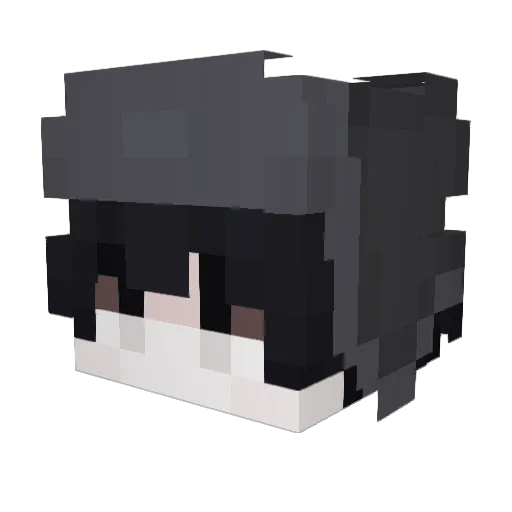 rainbottle Minecraft avatar head, 3D render