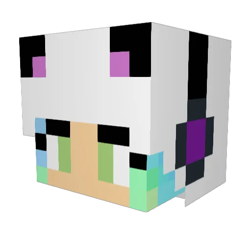 rainbow0604 Minecraft avatar head, 3D render