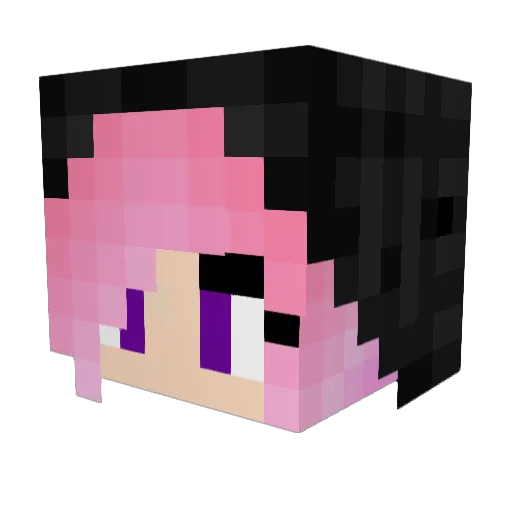 rainbow3192 Minecraft avatar head, 3D render