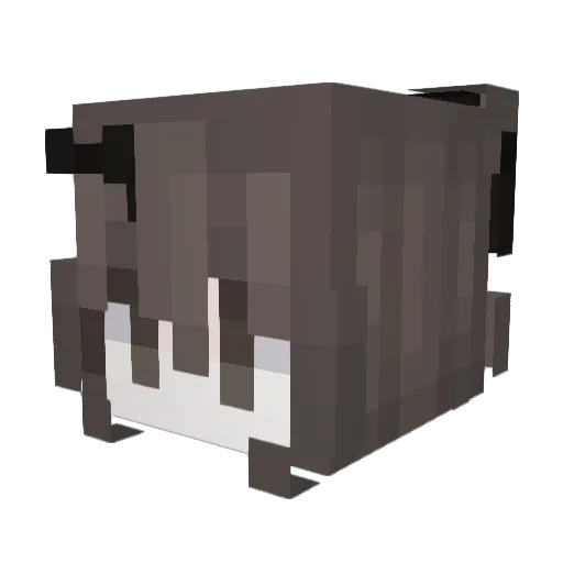 rainbow6789 Minecraft avatar head, 3D render