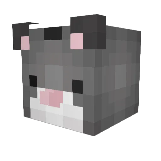 rainbowHonor Minecraft avatar head, 3D render
