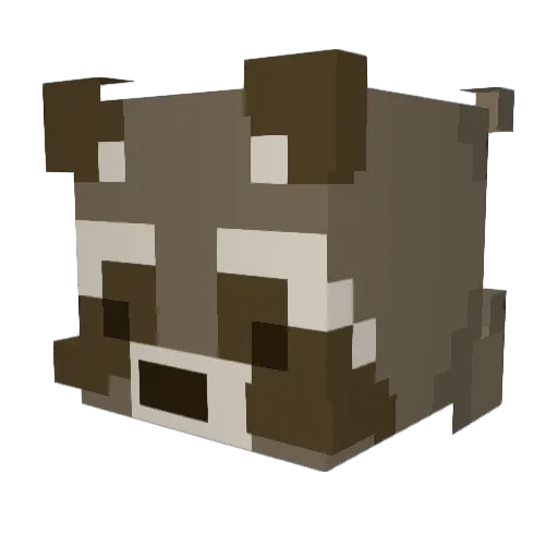 rainbow_axolotls Minecraft avatar head, 3D render