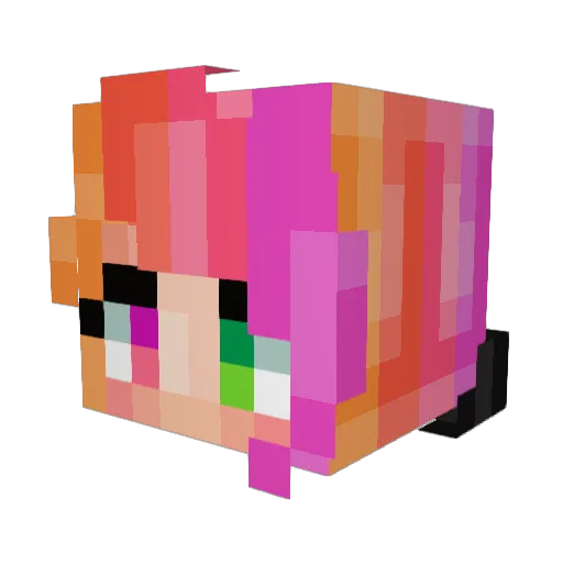 rainbow_hoe Minecraft avatar head, 3D render
