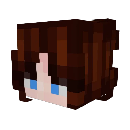 rainbowcurry111 Minecraft avatar head, 3D render