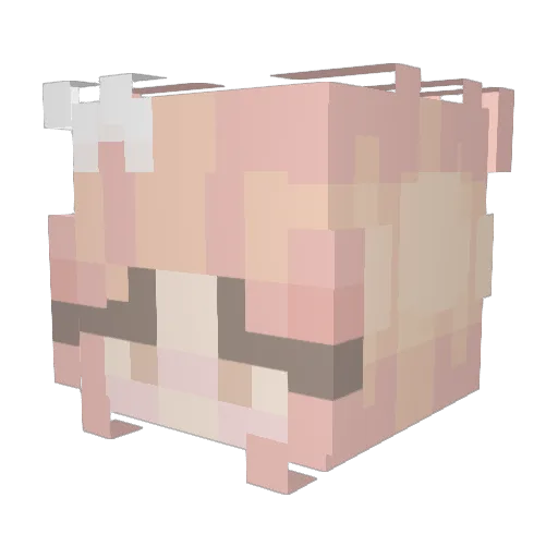 rainbowdrop1808 Minecraft avatar head, 3D render