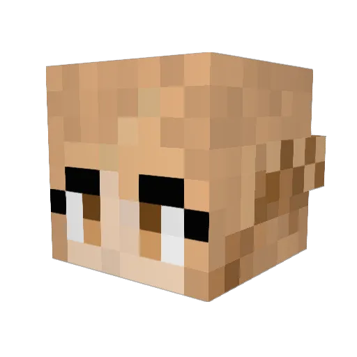 rainbowdroplets Minecraft avatar head, 3D render
