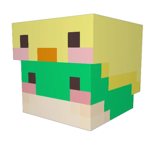 rainbowen Minecraft avatar head, 3D render