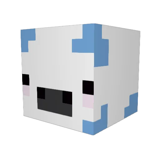 rainbowfish5678 Minecraft avatar head, 3D render