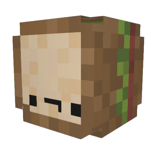 rainbowinjection Minecraft avatar head, 3D render
