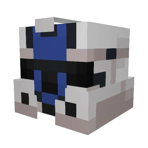 rainbowjack2 Minecraft avatar head, 3D render
