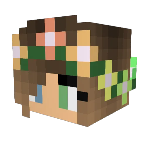 rainbowkitten05 Minecraft avatar head, 3D render