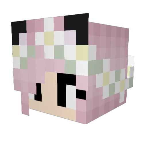 rainbowkitty31 Minecraft avatar head, 3D render