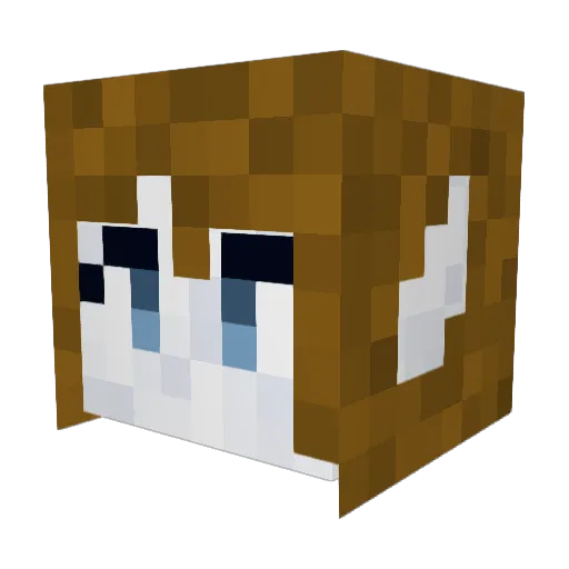 rainbowllama3 Minecraft avatar head, 3D render