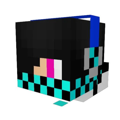 rainbowman1999 Minecraft avatar head, 3D render