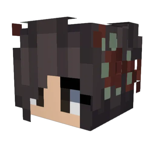 rainbowmonkey123 Minecraft avatar head, 3D render