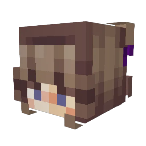 rainbowolfdragon Minecraft avatar head, 3D render