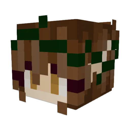 rainbowpanda443 Minecraft avatar head, 3D render