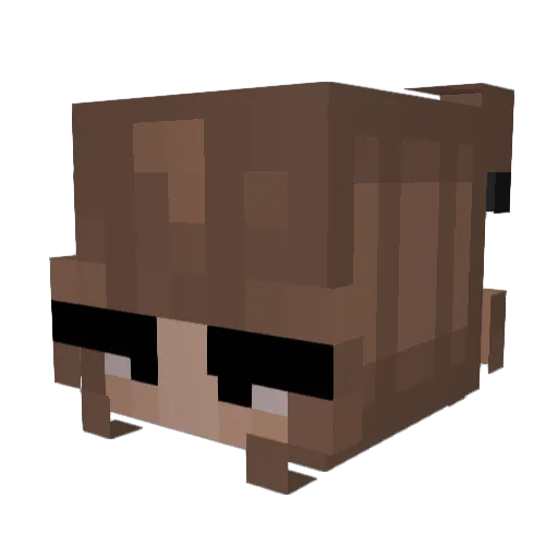 rainbowpoop64 Minecraft avatar head, 3D render