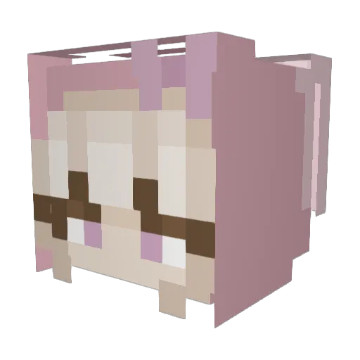 rainbowpoop Minecraft avatar head, 3D render
