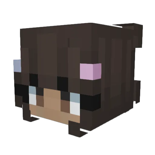 rainbowpup95 Minecraft avatar head, 3D render