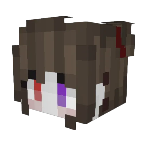 rainbowskywing Minecraft avatar head, 3D render