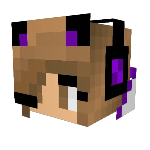 rainbowsprinkleR Minecraft avatar head, 3D render