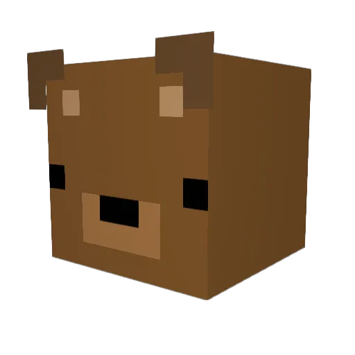 rainbowunicorn7 Minecraft avatar head, 3D render