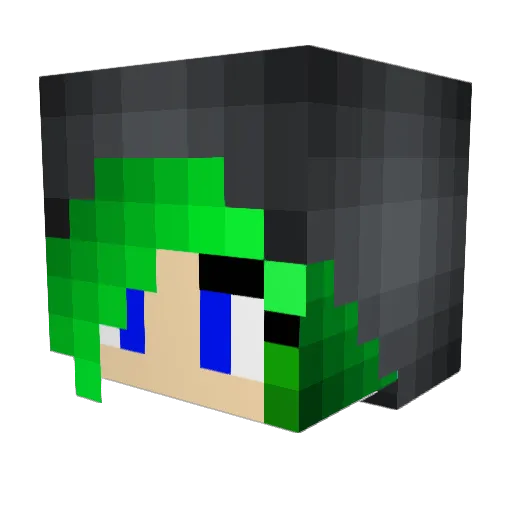 rainbowwolf652 Minecraft avatar head, 3D render