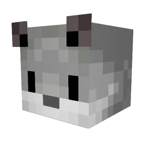 rainboysocks Minecraft avatar head, 3D render